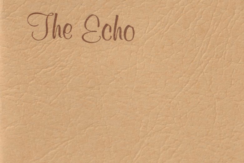 The Echo - Number 91, June 1982 - Front Page