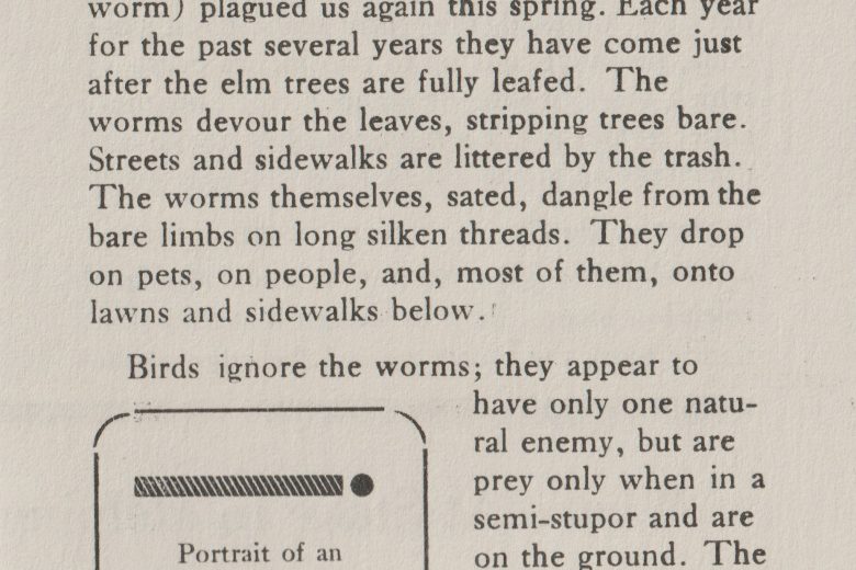 The Gryphon - Volume 3, Number 6, August 1978 - Page 1